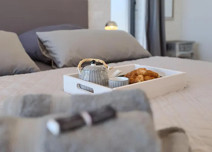 Why Not Istria? Vila *